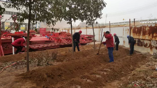 鋼模板廠家播下希望，收獲果實(shí)