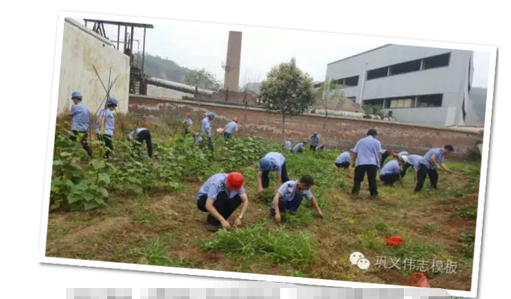 員工冒雨參加義務(wù)勞動！感動———偉志鋼模板廠家