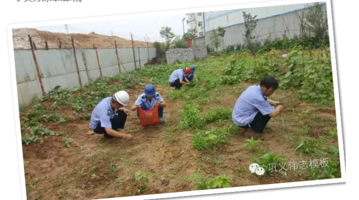員工冒雨參加義務(wù)勞動！感動———偉志鋼模板廠家