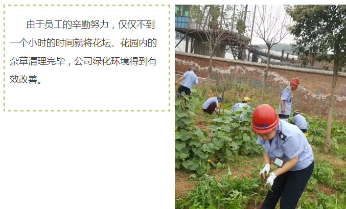 員工冒雨參加義務(wù)勞動！感動———偉志鋼模板廠家