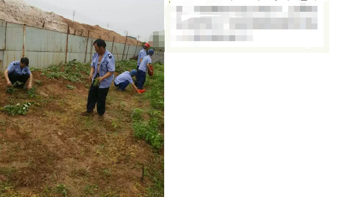 員工冒雨參加義務(wù)勞動！感動———偉志鋼模板廠家