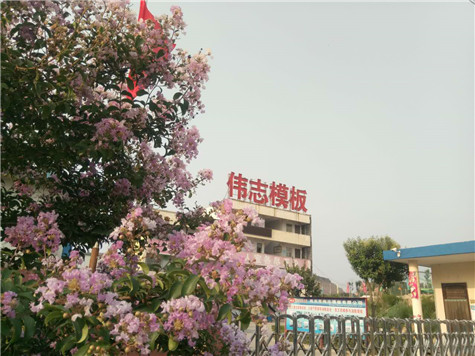 專業(yè) 專注，河南偉志模板在2018年期待您的光臨