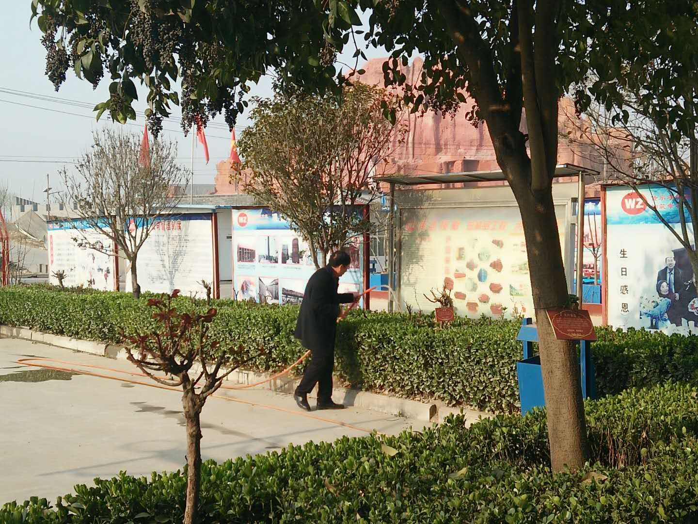 身先力行，偉志模板來(lái)董說(shuō)：植樹(shù)就要護(hù)理好