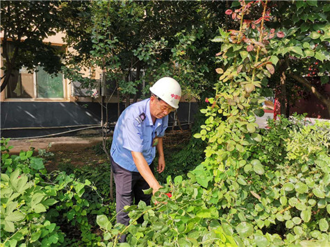 河南偉志模板來保軍——美麗的花園，來自辛勤的勞動