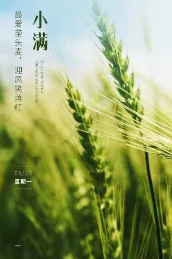 小滿即安，未來可期！