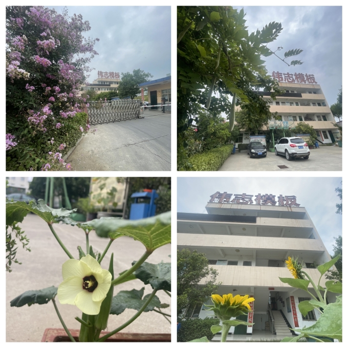 夏至來臨，期待美好